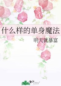 《什么样的单身魔法》