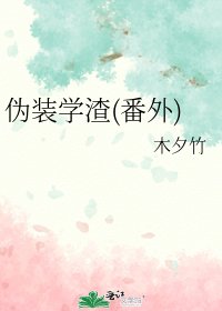 《伪装学渣(番外)》