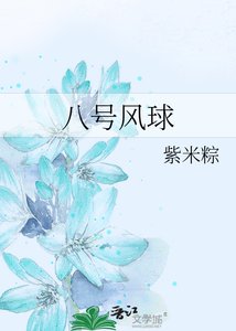 《八号风球》