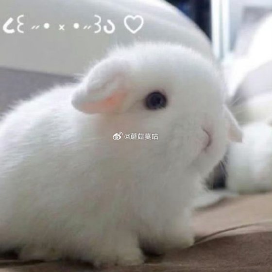 《骗子下乡记》