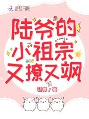 《陆爷的小祖宗又撩又飒》