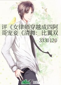 女律师穿越成四阿哥宠妾（清舞：比翼双飞）