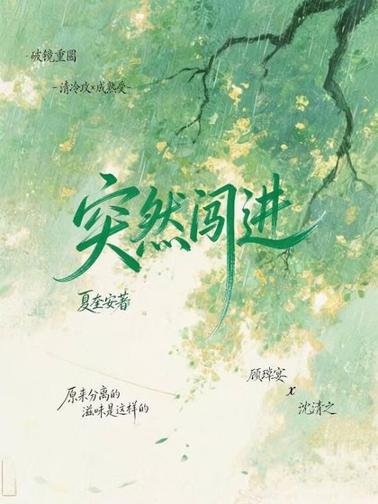 《突然闯仅》