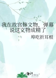 《我在故宫修文物,弹幕说这文物成精了》