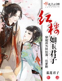 《(BG/红楼同人)红楼如玉君子》
