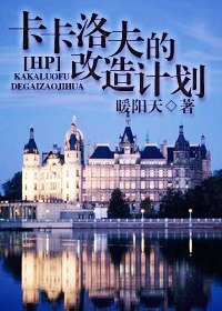 《HP之卡卡洛夫改造计划》