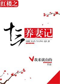 《(BG/红楼同人)红楼之十三养妻记》