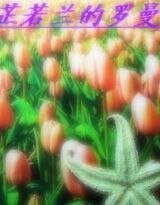 汀芷若兰的罗曼史
