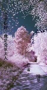 会长你好，我是会长夫人