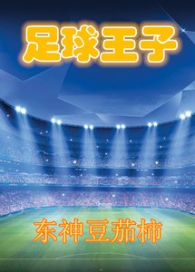《(足球同人)足球王子》