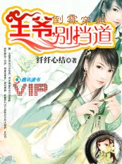 《倒霉穿越:王爷,别挡道》