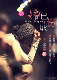 《婚已成伤》