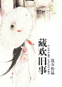 《藏欢旧事》