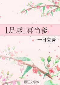 《(BL/足球同人)喜当爹》